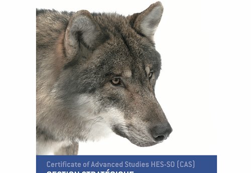Certificate of Advanced Studies HES-SO (CAS) in Switzerland
