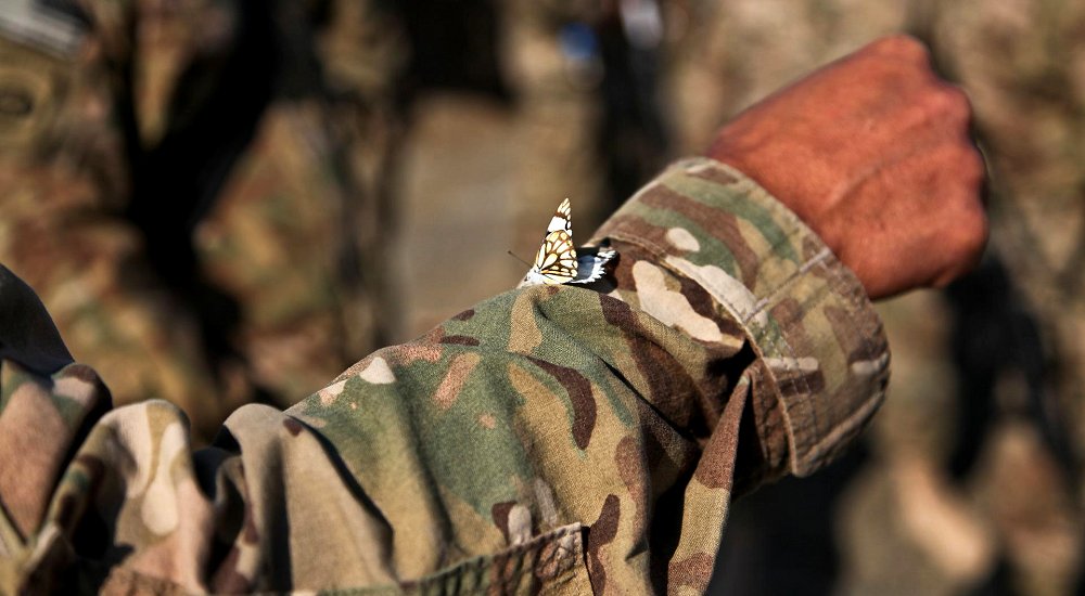 Supporting Afghan Civilian Resettlement ... OSINT and PAI exploitation